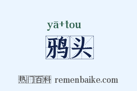 鸦头是什么意思的图片